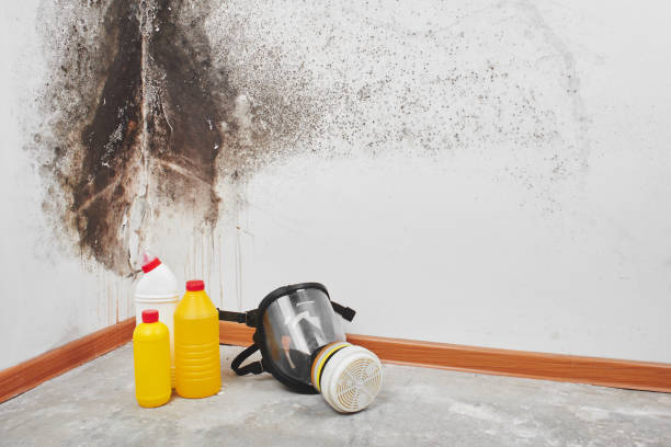 Best HVAC Mold Remediation in Unionville, TN
