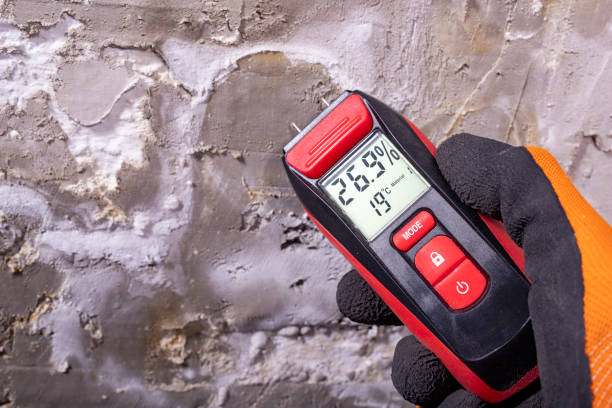 Best Emergency Mold Remediation in Unionville, TN